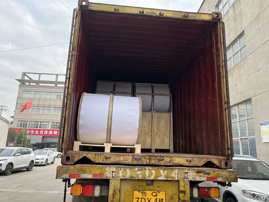 El miembro de fuerza de ISO9001 Frp Roces emerge de alta resistencia liso